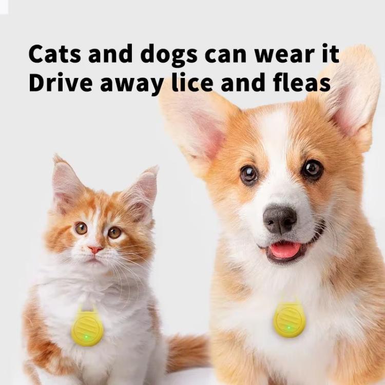 TBD06061298_B6.jpg@7f965bf917e7fb6c167f557364ea0857