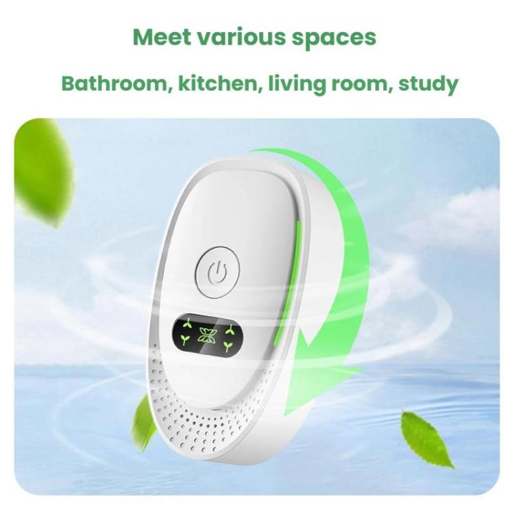 TBD06062384_B5.jpg@149764509374c017d2de5ee68fe4d671